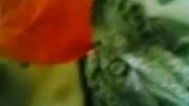 কালো মেয়ের, স্বামী বাংলা sex video 2018 ও স্ত্রী