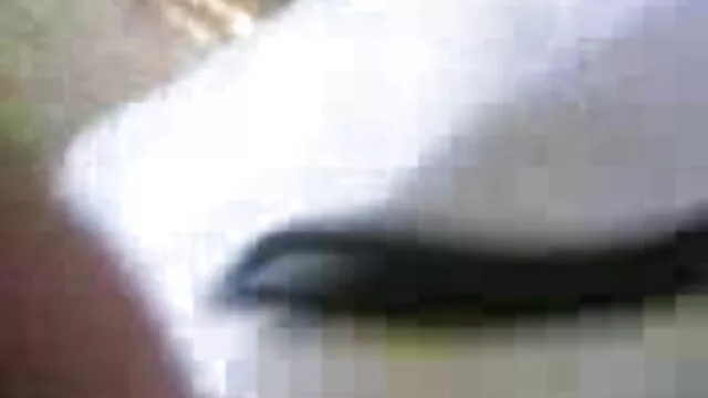 পর্নোতারকা বাঁড়ার xxnx বাংলা রস খাবার বড়ো মাই