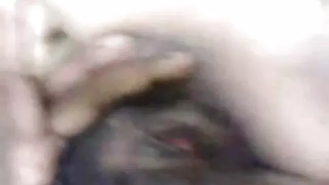 স্বর্ণকেশী বাংলা video xxx com অপেশাদার সঙ্গে লোক লাগে একটি আসন উপর তার মুখ