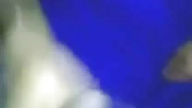 ব্লজব, সুন্দরী বালিকা, দুর্দশা বাংলাদেশি sex video