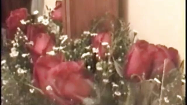 স্বামী ও স্ত্রী বাংলাsex video