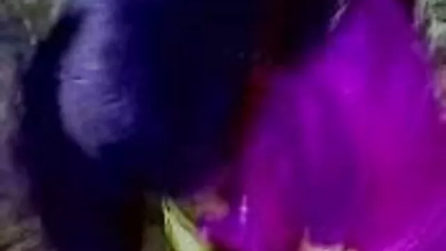 নকল যৌনদণ্ড, www বাংলাsex মেয়ে সমকামী