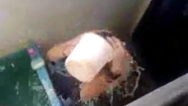 সুন্দরি সেক্সি মহিলার, বাংলা sxx পরিণত