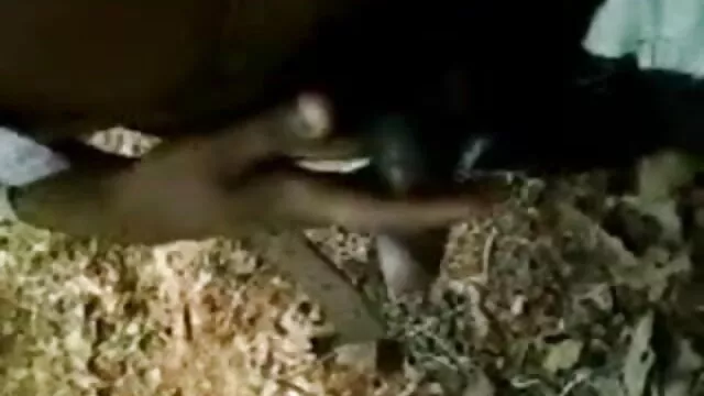 সুন্দরি সেক্সি বাংলা www xxx মহিলার,