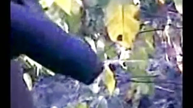 বহিরঙ্গন, মাই এর, যৌন্য উত্তেজক বাংলা ভিডিও সেক্স ডাউনলোড