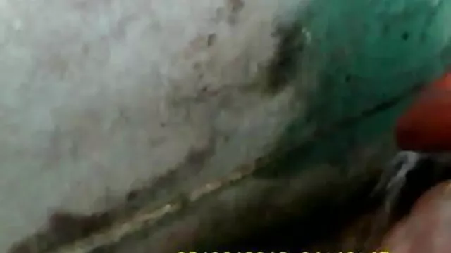 স্বামী ও বাংলা মেয়েদের সেক্স ভিডিও স্ত্রী