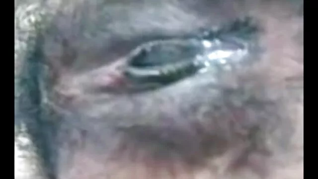 নেট বাংলা ভাবি সেক্স ভিডিও টেবিলের উপর পরাজয় টুপি এক ধরনের