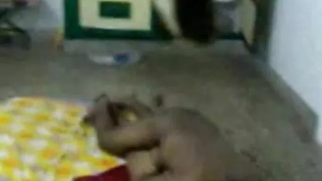পোঁদ বাঁড়ার বাংলা ভিডিও xxx com রস খাবার তিনে মিলে মৌখিক ব্লজব বড়ো মাই
