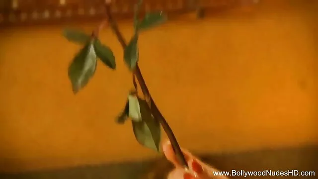 মাই এর, সুন্দরি সেক্সি xnx বাংলা মহিলার, পরিণত