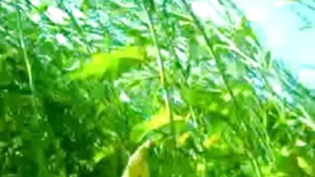 সুন্দর, www xxx বাংলা মাই এর,