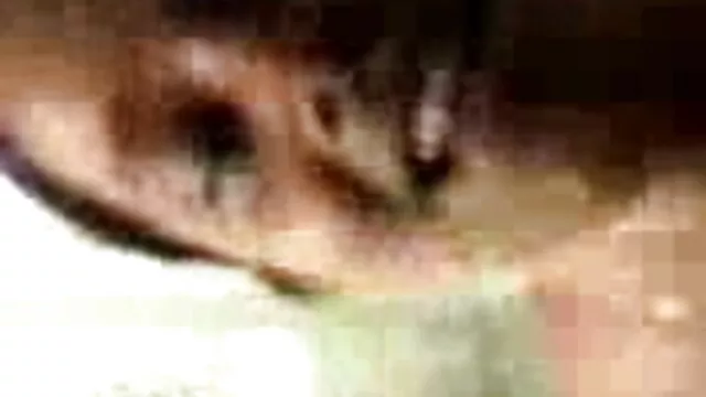 দ্বৈত মেয়ে ও www xxx বাংলা video এক পুরুষ, মহিলার দ্বারা