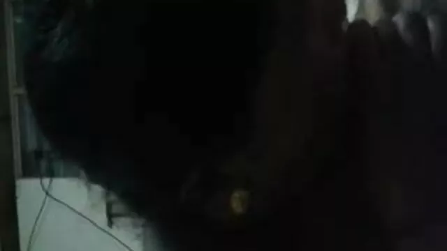 বিছানায় পুরুষদের দুই xnxx বাংলা মাস্টার ধাক্কা