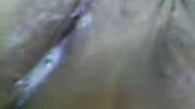 শেষে ঘুম বাংলা ছবি xxx video মহিলা বিভিন্ন প্রস্তাব