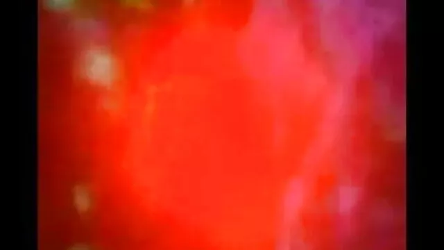 গুদ, মেয়ে বাঁড়ার, মেয়ে সমকামী বাংলা sxx
